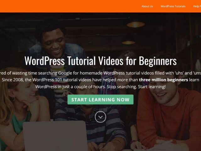 WP 101