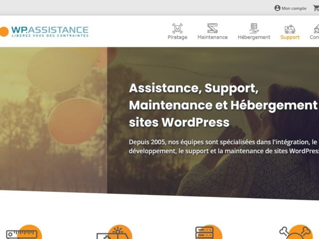 WP Assistance