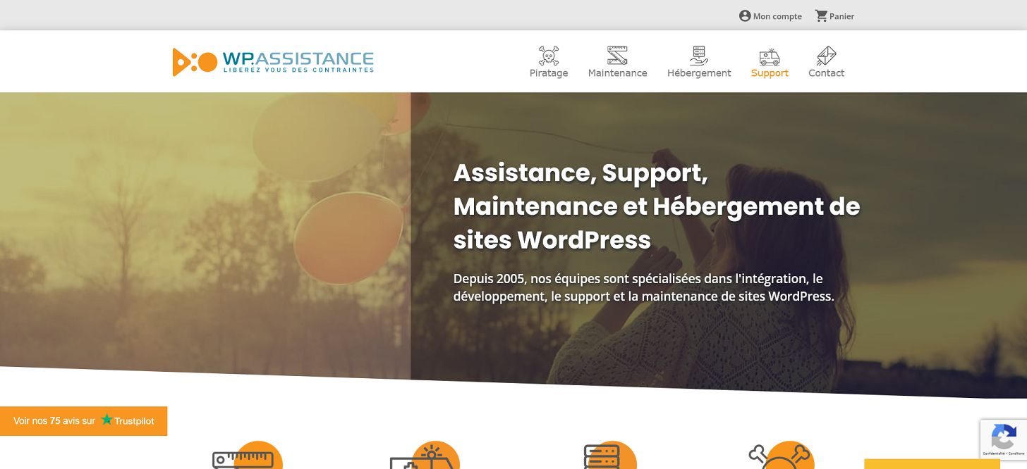 WP Assistance