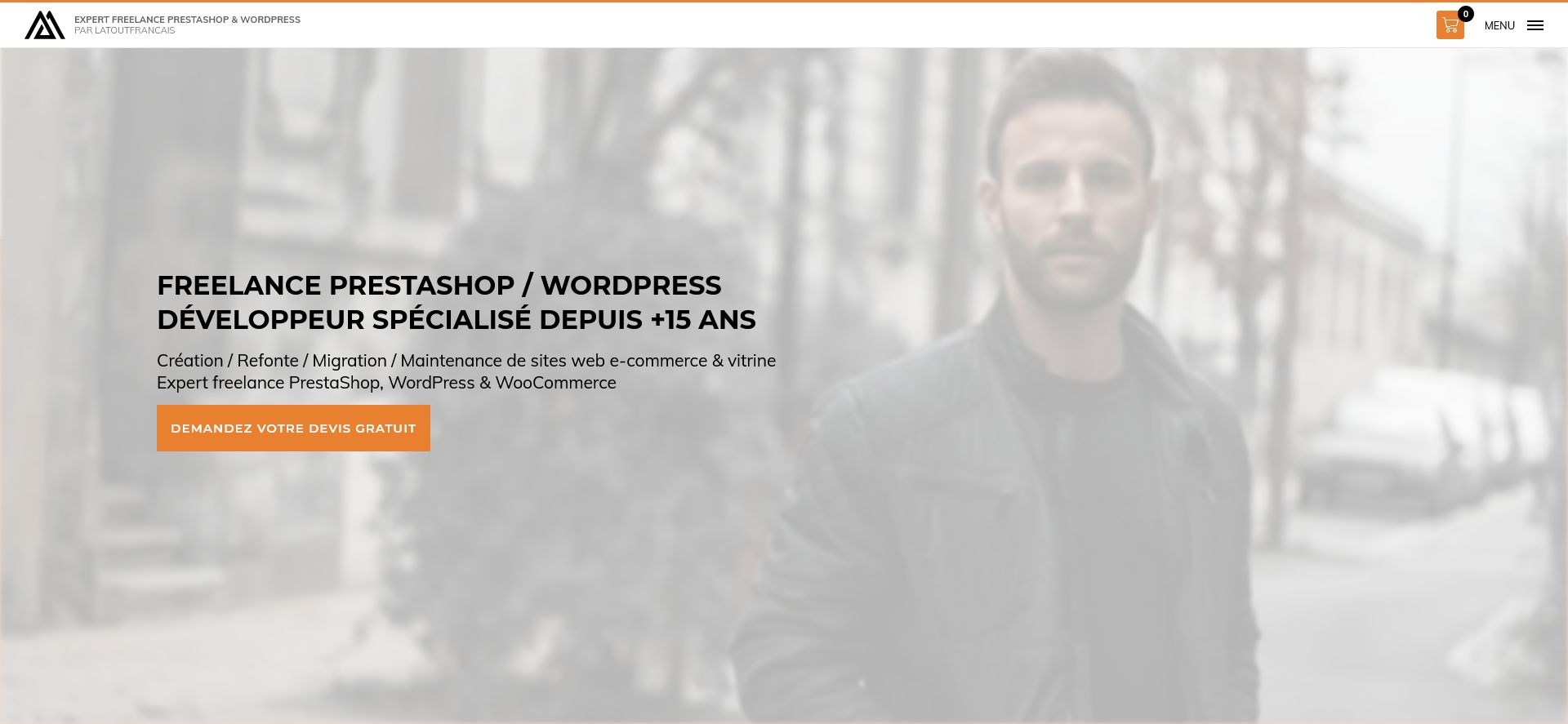Arnaud Merigeau Freelance WordPress