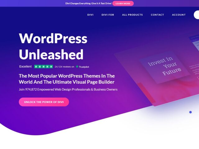 Elegant Themes Divi