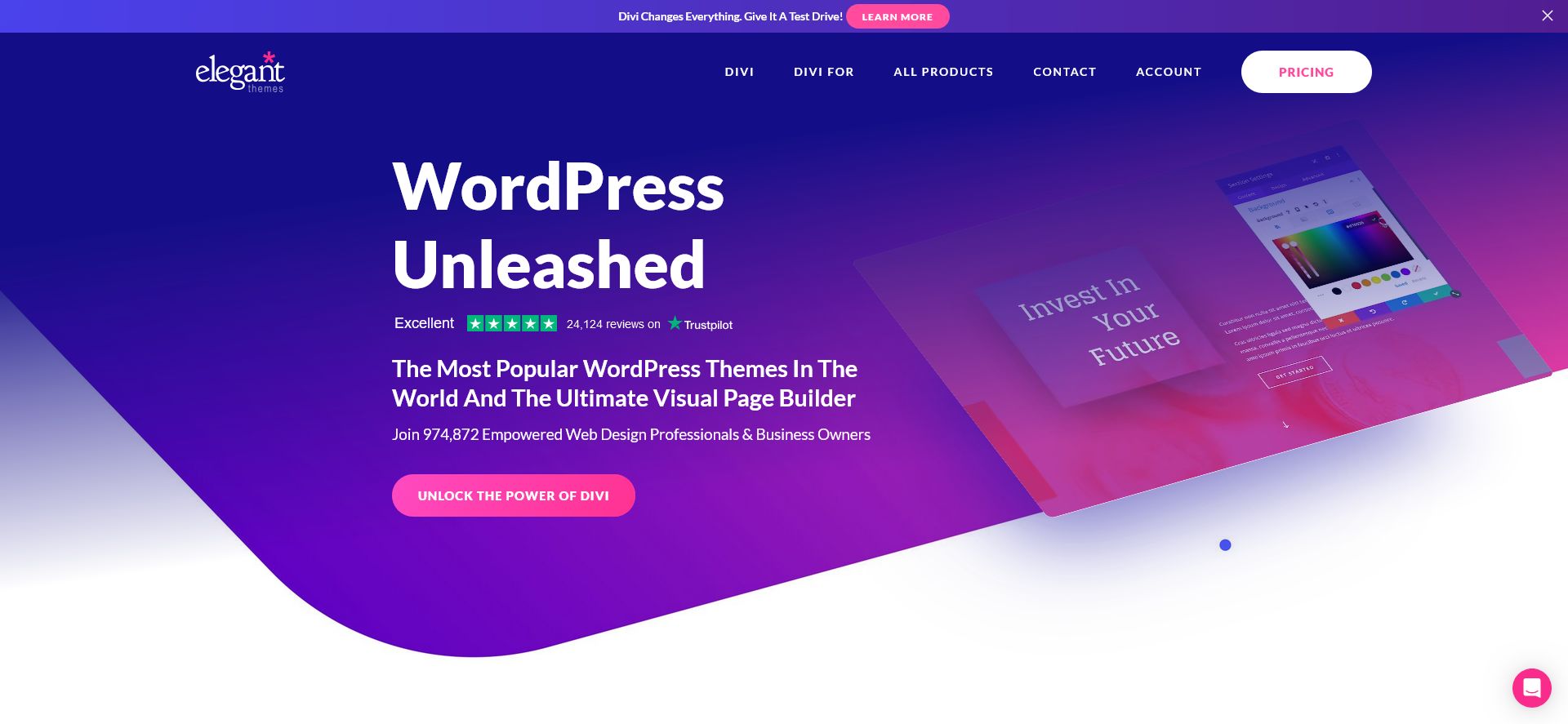 Elegant themes Divi
