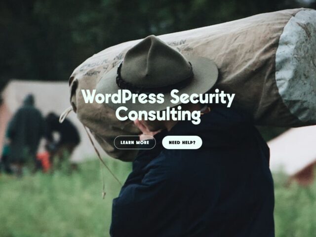 WP SCOUT