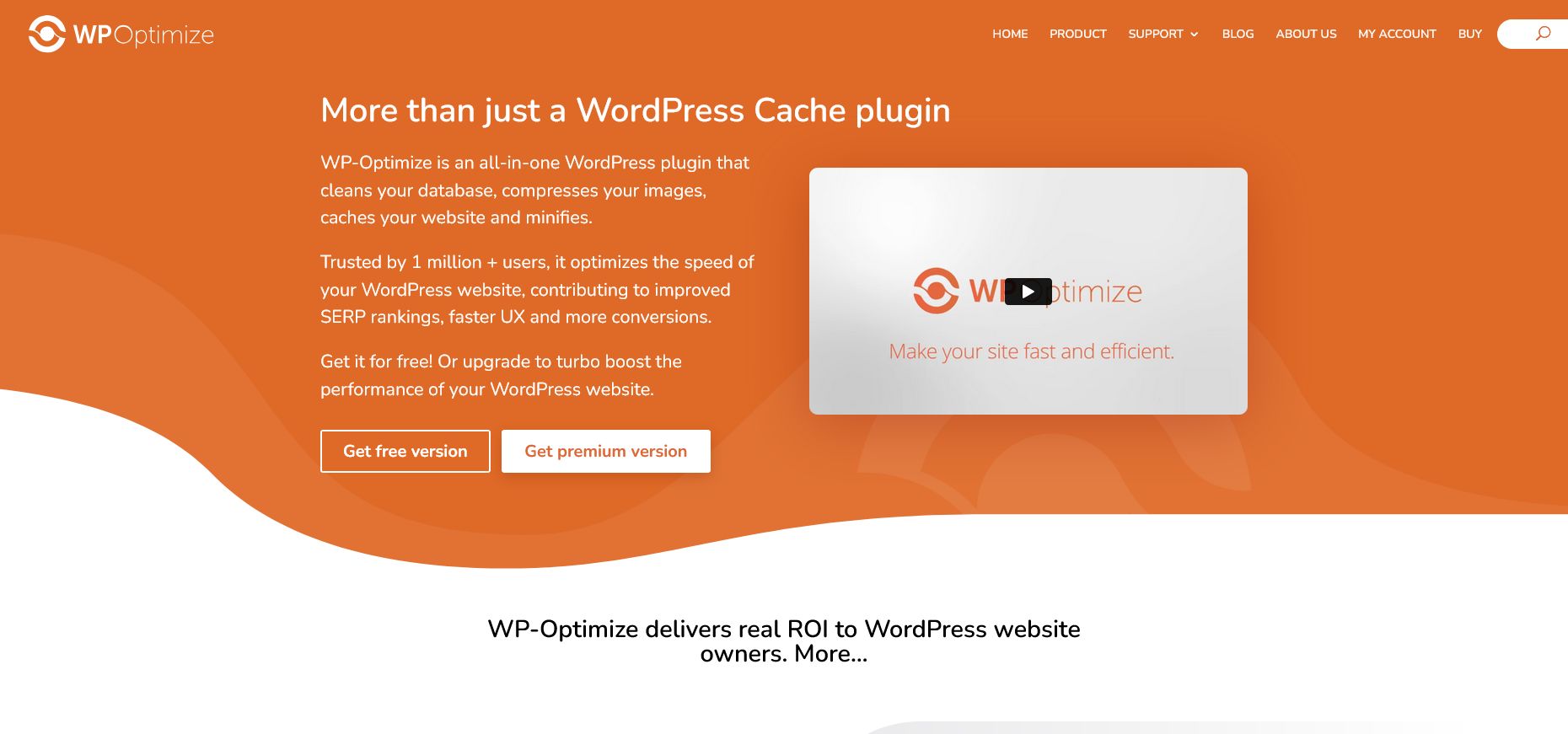 WP Optimize