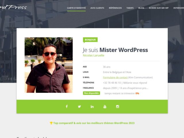 Mister WordPresss