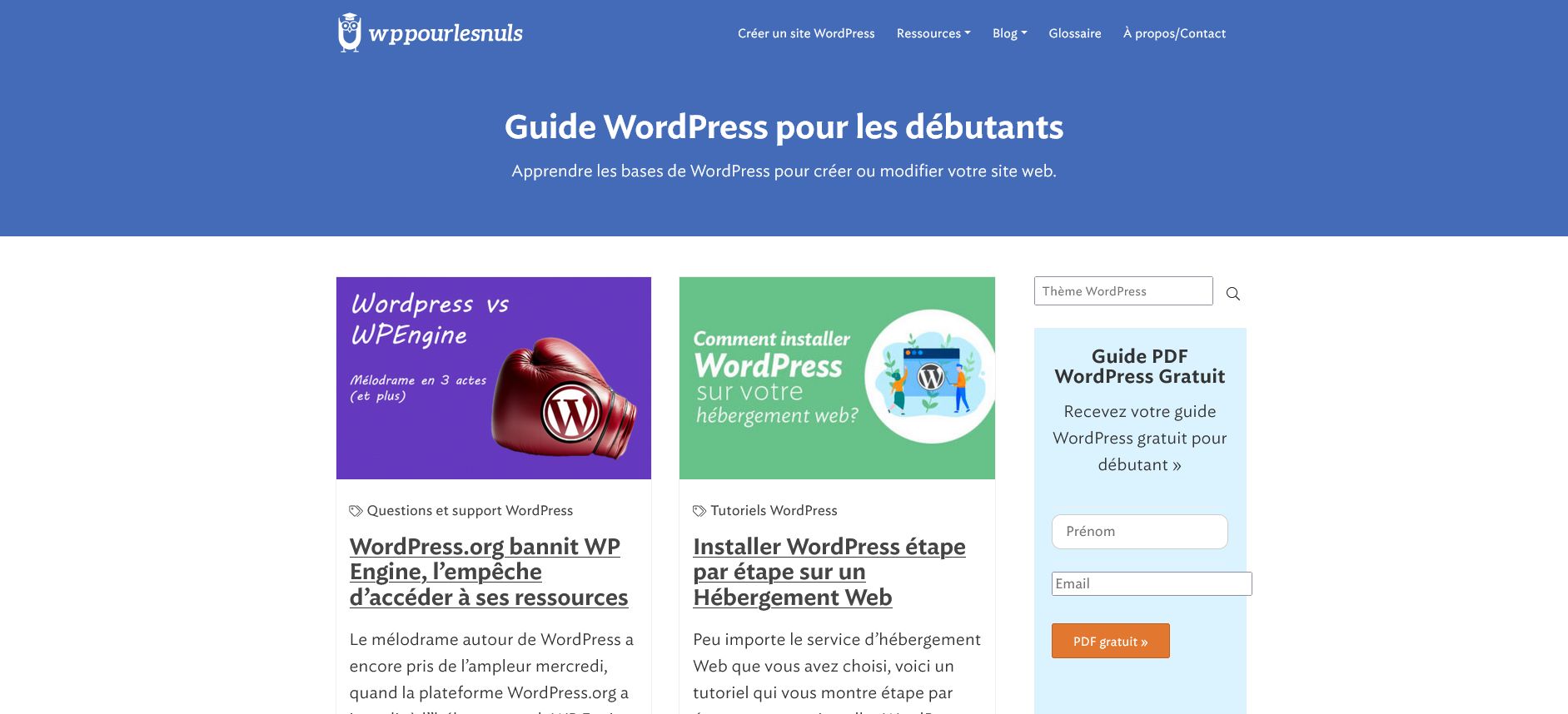 WP pour les nuls