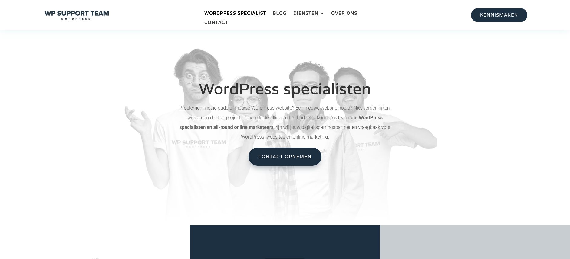 WP Support Team