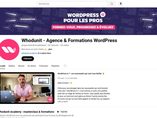 WordPress pour les pros